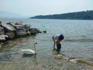 lago maggiore inquinamento legambiente