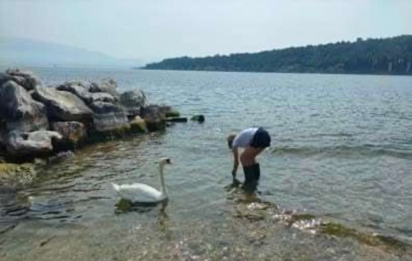 lago maggiore inquinamento legambiente