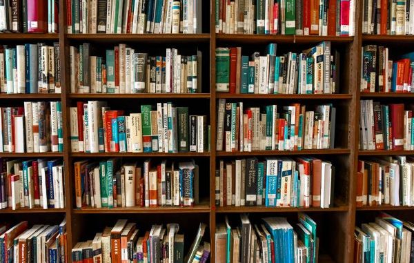 biblioteca busto presenze prestiti