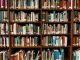 biblioteca busto presenze prestiti