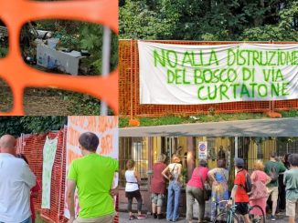 gallarate bosco ocg avs forza italia