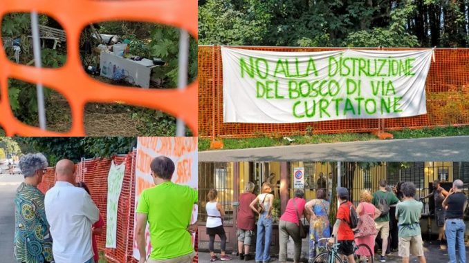 gallarate bosco ocg avs forza italia