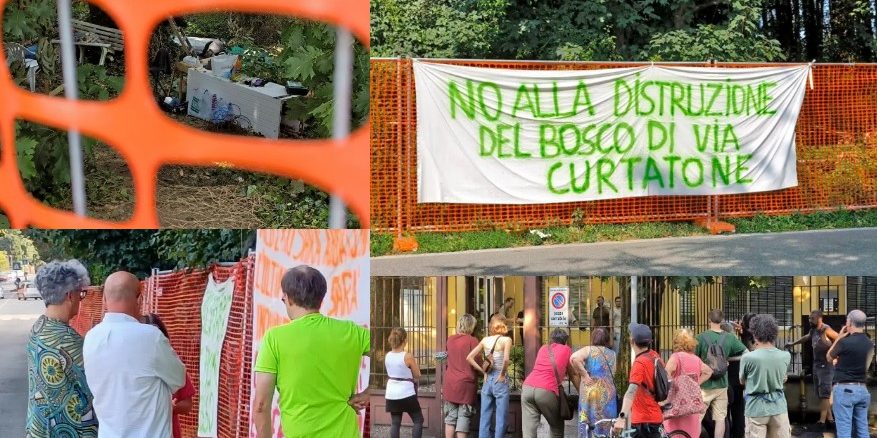 gallarate bosco ocg avs forza italia