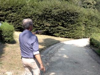 giardini estensi puricelli manutenzione