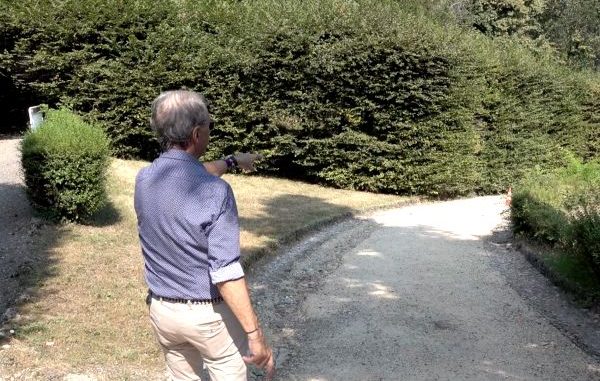 giardini estensi puricelli manutenzione
