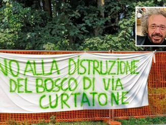 gallarate bosco curtatone longobardi