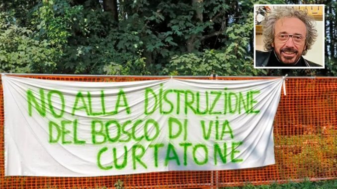 gallarate bosco curtatone longobardi