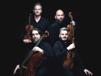 laveno concerto quartetto cremona 02