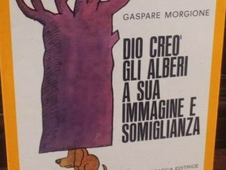 gallarate morgione alberi