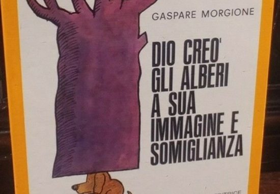 gallarate morgione alberi