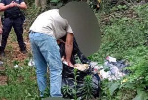 castanoprimo nosate rifiuti polizialocale