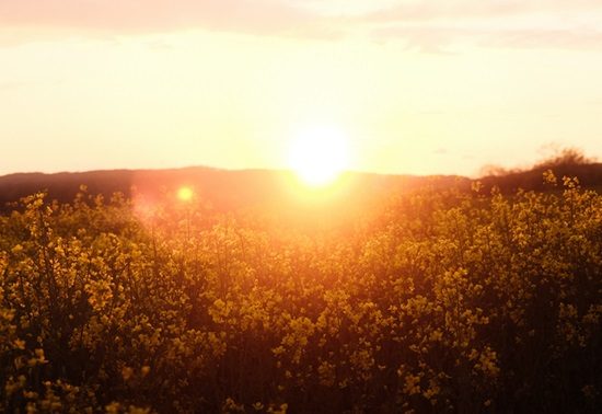termometro discesa sole calura