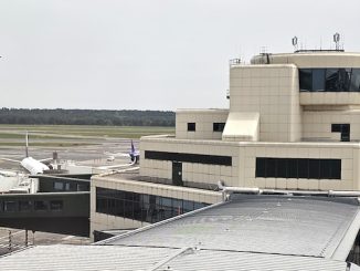Malpensa molestie hostess sentenza