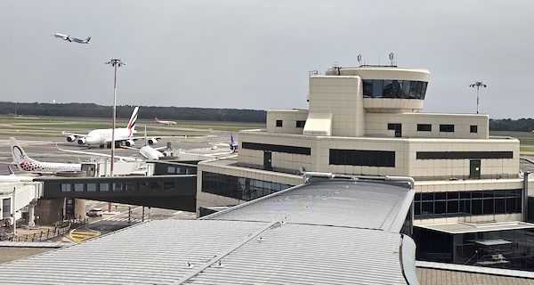 malpensa abu Dhabi voli
