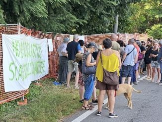 gallarate bosco risarcimento danni