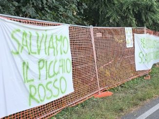 Gallarate bosco posizione pd