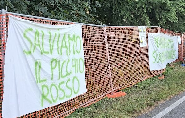 Gallarate bosco posizione pd