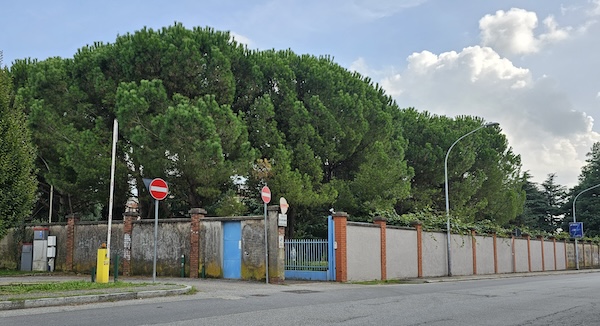 Gallarate murales gadda rosselli