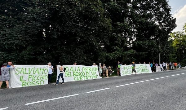 Gallarate bosco partito democratico
