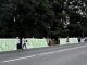 Gallarate bosco partito democratico