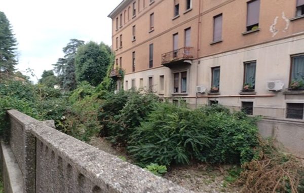 gallarate arno bosco