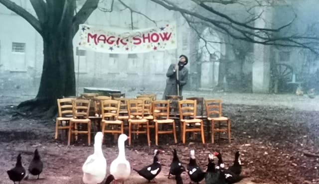 baff cinema maurizio nichetti 03