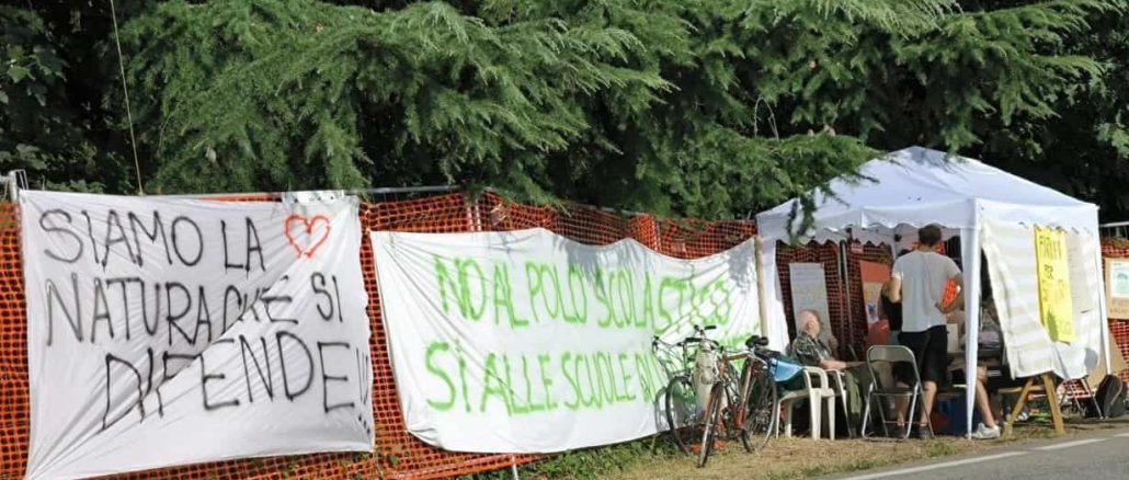 gallarate sindaco taglio bosco