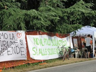 gallarate sindaco taglio bosco