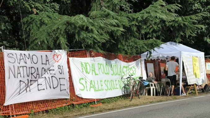 gallarate sindaco taglio bosco