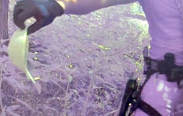 Castano primo arrestato Genova