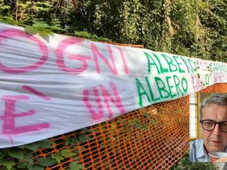 gallarate bosco mediazione finita