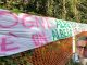 gallarate bosco mediazione finita