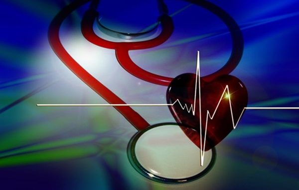 gallarate cuore canziani