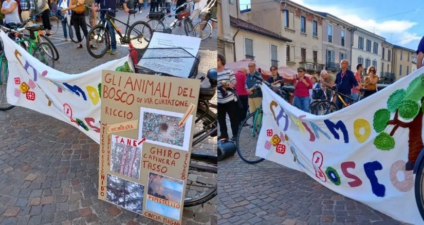 gallarate bosco curtatone marcia