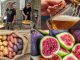 varese provincia eventi weekend