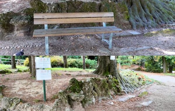 giardini varese rimossa panchina