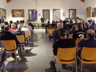 ilma plastica appello curatori