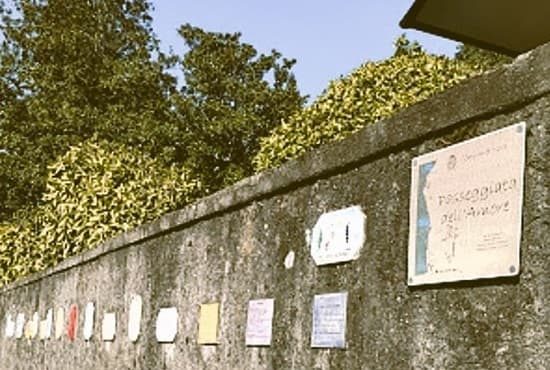 ispra berrino premio bassetti 01