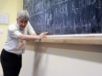 luminari matematica varese indam