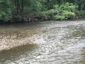 fiume olona sversamenti inquinamento