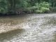 fiume olona sversamenti inquinamento