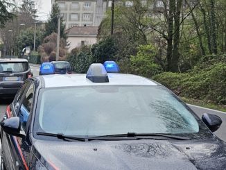 Gallarate via curtatone machete