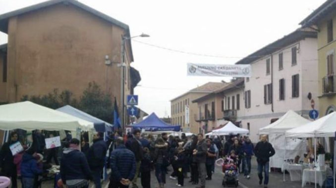 cardano autunno piantina nati