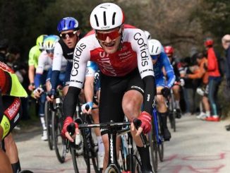 coppa bernocchi