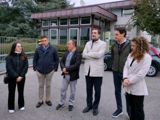 ilma plastica politica risposte