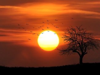 lombardia sole temperature nebbie