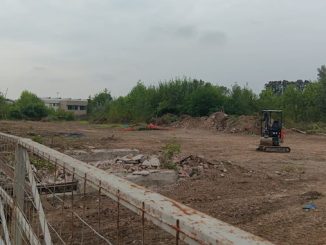 magenta area najoleari lavori