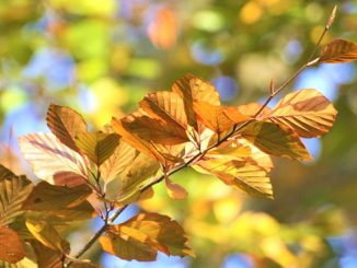 nuvoloso temporali pressione sole
