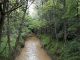 rugareto bosco torrente bozzante
