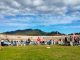 stadio pulciniadi varese city run